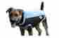 80-8056bk-bl 84206 Derby Originals Cutenfuzzy Comfort Fit Reflective Winter Dog Blanket 600d Polyfil 150 L
