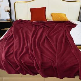 Yq202409 Ahinahwap Waterproof Blanket For Bed Couch Sofa 60 Inch X80 Reversible And Washable Waterpr