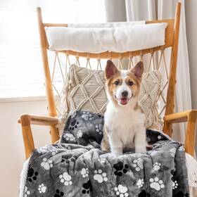 Aiwek 788135471611 Waterproof Pet Blanket Dog Blankets Pattern Printing Super Soft Warm Fluffy