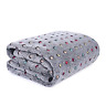 Am11-ry0057-xl-g Pawz Road Pet Dog Blanket Fleece Fabric Soft 691197456642