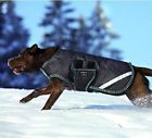 Amigo By Horseware Dog Rug Atlantic Blue L 649982615859