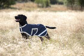 Rrr0j2-bi00-me Amigo Ripstop Waterproof Dog Blanket