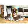 Animal Planet Sherpa Pet Dog Blanket For Couch Crate Or Travel 40 X50 Free Ship 0694202220627