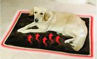 Ap-792000500 Apollo Exports Pet Blanket Thermal Large
