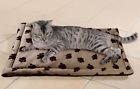 Ap-809690500 Apollo Exports Pet Pillow