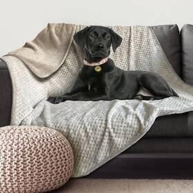 59-0-9-00124 Arlee Home Fashions Waterproof Dog Blanket For Cats And Dogs Washable Couch Cover Reversible Furn