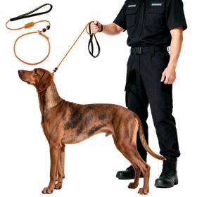 Beaugo 970560926345 Dog Leash Slip Lead Training Trainer Rope Designed For