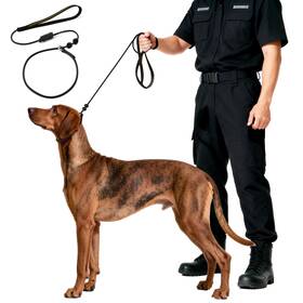 B08r86gxky Beaugo Dog Leash Slip Lead Training Trainer Rope For Ngkc Competition P