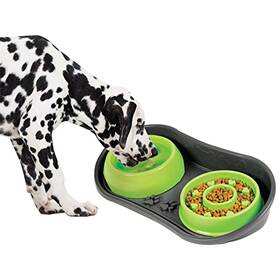 Because Of Paws 017874030576 Non-skid Pet Bowl Tray - With 2 Slow Down Bowls Set For Small To Medium Dog