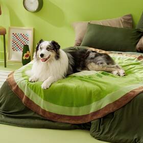 Bedsure Comfy Pet 711181372274 Lesure Dog Blankets For Large Dogs - Calming Fruit Blanket 50inch Green Kiwi