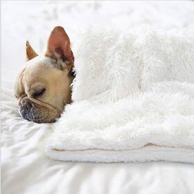 Benron 715002869783 Large Dog Blanket For Couch Bed Crate Cozy Reversible Fleece Wash