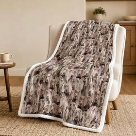 Blessliving Bbs06760166 Weimaraner Brown Throw Blanket With Dense Dog Patterns Sherpa Fle