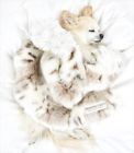 Blnkt-bs-lg Peluche Plush Luxury Siberian Leopard With Ivory Shag Carrier Dog