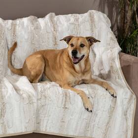 1826559 Brentwood Originals Oversized Waterproof Pet Blanket And Furniture Protector