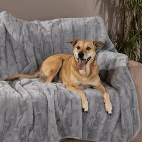 30d37a42-9978-46 Brentwood Originals Oversized Waterproof Pet Blanket And Furniture Protector
