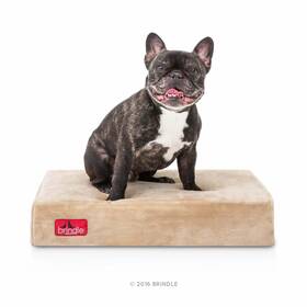 Brindle 460055109576 4 Inch Memory Foam Pet Bed Standard Khaki