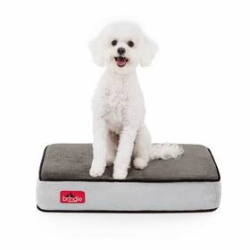 Brsscb22pb Brindle Waterproof Memory Foam Pet Bed - Removable And Washable Cover 4 Inc