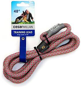 B07bf25wfj Cesar Millan Slip Lead Leash Dog Training Regular Pink/gray