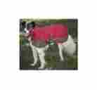 Cffg90 Horse Blanket Coat Dogs Outdoor For Dog S Xl Waterproof Wind Resistant