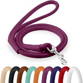 B09xvd3w92 Collardirect Rolled Leather Dog Leash 6ft - Training For Small And Large