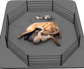 12206-011-033 Coolshields Washable Reusable Dog Pee Pads 34 Inch X52 2 Pack Absorbent And Waterproof Puppy