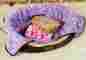 Cushion104 Unbranded 3pcs Pet Warm Paw Print Dog Puppy Fleece Soft Blanket Beds Mat 76cm