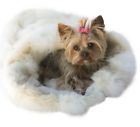 D930 The Dog Squad New Cozy Sak Plush Alaskan 819666017303
