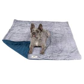 Dog Gone Smart 849670021447 Chilli Kuzzi Fir Blanket Velvet Velboa And Tipped Pv Plush Ultras