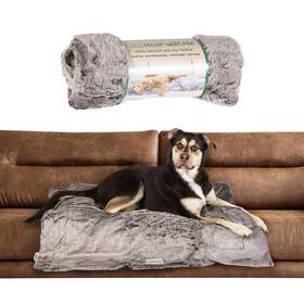 Dog Gone Smart 849670021461 Dgs Pet Products Itchy Witchy Essential Oils Blanket Large Chocolate Truffle 40 Inch