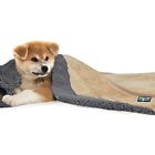 Dog3045ltdgy Kritterworld Pet Dog Cat Puppy Kitten Microplush Sherpa 730440422376