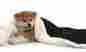 Dog3060-black Kritterworld Pet Dog Cat Puppy