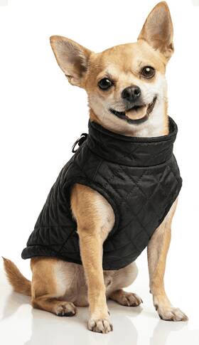 Lb043mao001002 Droolingdog Small Dog Coats Winter Warm Jackets Puppy Cold Weather Coat Pet Clothes F