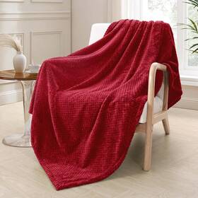 Sftb-wbg5060 Exclusivo Mezcla Fleece Throw Blanket Extra Large Super Soft And Warm Blanke