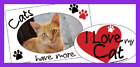 F0474 By Car Magnet Picture Frame In Cats Pet 729173904747
