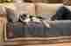 Fa032stb West Paw Design Big Sky Faux Suede Silky Soft Dog Blanket Machine Wash