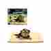 Fd091 Self Warming An American Company Co Pet Soft Fleece Cushion Blanket Bed For Dog Cat 731015194766