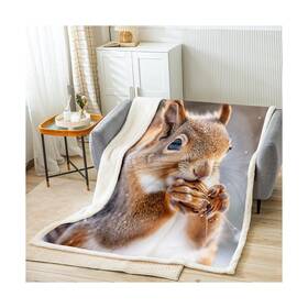 Ww1324mtzsj Feelyou Cute Squirrel Print Fleece Throw Blanket 4d Animal Theme Sherpa Bla... Fast Ship
