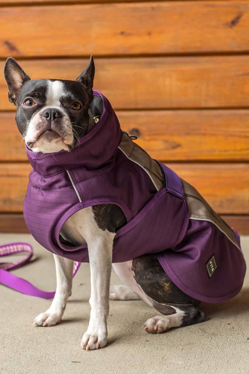D101 Fits Dog Coat