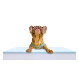 Fg00040 Foam Global Pet Bed Insert/dog Pad 3 Inch X27 X41