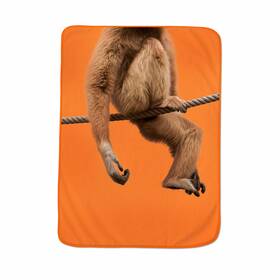 5265447 Fred & Friends And Howligans Exotic Pet Blanket Monkey Print