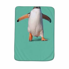 5265448 Fred & Friends And Howligans Exotic Pet Blanket Penguin Print