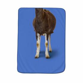 5265449 Fred & Friends And Howligans Exotic Pet Blanket - Goat Print