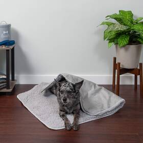 53342307 Furhaven Waterproof And Self-warming Throw Blanket For Dogs Indoor Cats
