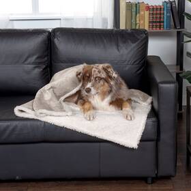 53442303 Furhaven Waterproof And Self-warming Throw Blanket For Dogs Indoor Cats Wash