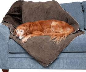 53542301 Furhaven Pet Products Inc Waterproof And Self-warming Throw Blanket For Dogs Indoor Cats