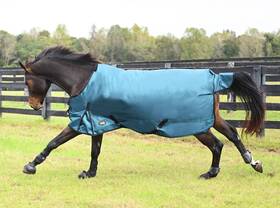 43202-teal-72 Gatsby Premium 1680d Waterproof Turnout Sheet 72 Teal