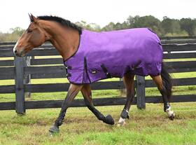 44306-purple-78 Gatsby Premium 1200d Heavyweight Waterproof Turnout Blanket 78 Purple