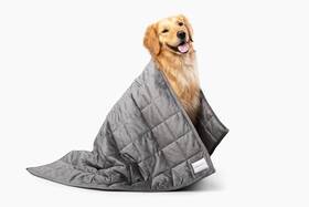 Gravity 810094033170 Premium Original Weighted Dog Blanket Calming Relaxation And Anxiety