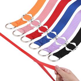 B0dwskk15l Homimp Slip Lead Dog Leash 6 Ft - Pcs Bulk Colors Kennel Control Small Medium