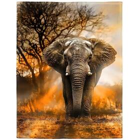 Hommomh 660406689624 60 Inch X80 Orange African Elephant Blanket Soft Fluffy Fleece Throw For
